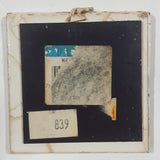 "Brain cells come & brain cells go, but fat cells live forever." 2 3/8" x 2 3/8" Ceramic Tile Fridge Magnet