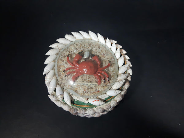 Vintage Mazatlan, Mexico Real Shell Plastic Crab Under Dome Keepsake Trinket Box - Treasure Valley Antiques & Collectibles